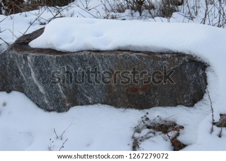 rock covered in snow