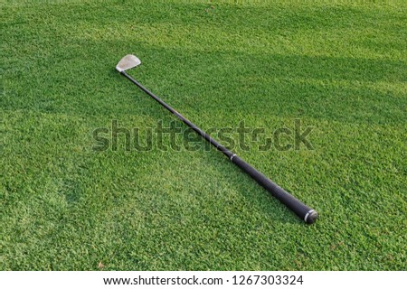 A Golf club placed on the green lawn