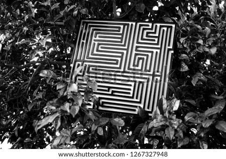 Monochrome maze labyrinth