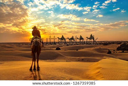Female tourist on camel safari at the Thar desert Jaisalmer Rajasthan at sunset with view of camel caravan.