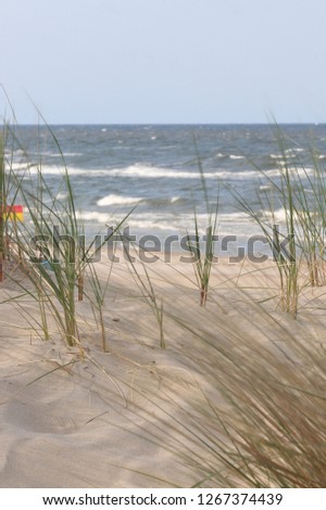 Beach Immersions on Usedom Island