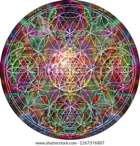 Abstract mandala with flower of life 