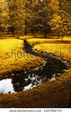 fall scenery, beauty of autumn - nature and environment concept, elegant visuals