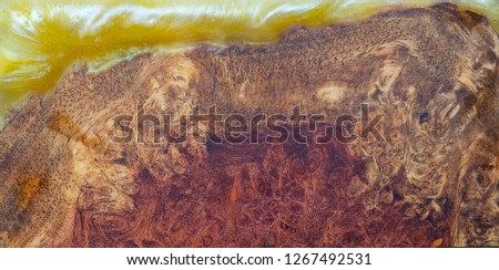 casting epoxy resin Stabilizing Afzelia burl exotic wood yellow background texture, Abstract art picture photo, print design and your advertisement, hybrid