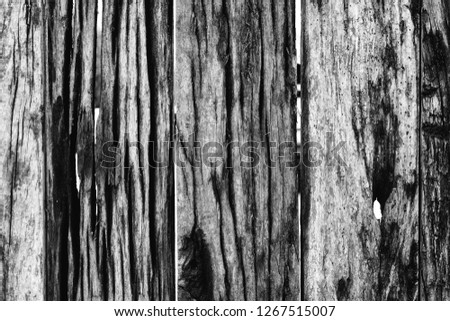 Old wood plank texture in black and white