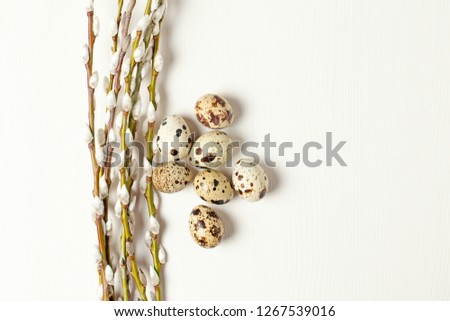 Pussy willow, quail eggs - Easter background, copy space