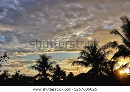 Cloudy sunset on palm trees