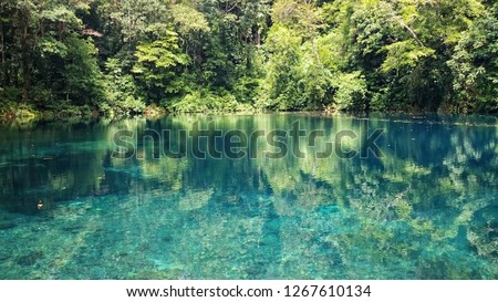 clear blue lake in the middle of rainforest 