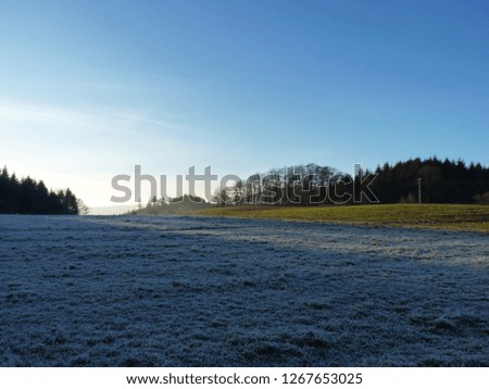 Meadow with and without hoarfrost and bushes and fires on the edge. A clear winter day, at sunset in the black forest. Germany
