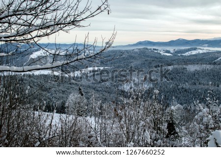 beautiful winter mountain resort, the theme of mountain sports, skiing, Bukovel, Carpathians, Ukraine