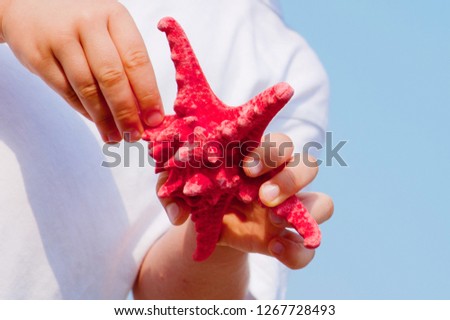 Little boy holding red five point starfish and net in his hands on the beach. The red starfish on a childs hand