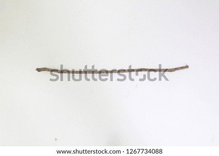 branch photography, white background