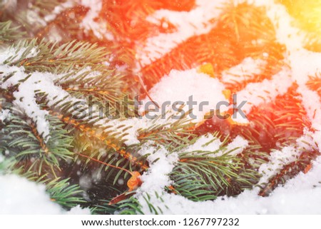 Blue christmas green tree in vintage style on color and white blur bokeh background. Evergreen pine branch in snowy forest. Winter snow nature season landscape. Xmas holiday fir. Close up, copy space.