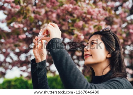 young asian woman photographing pink sakura tree by smartphone camera app. beautiful blossoming cherry flower in nara japan in spring. girl tourist with sunglasses holding mobile phone take photo.