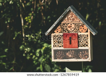 Wooden honey bee box on a sunny day at a beautiful park at sunrise. Royalty-Free Stock Photo #1267859419