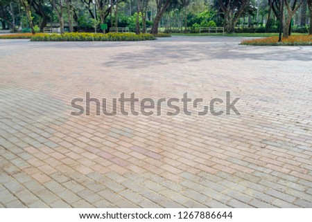 patterned paving tiles, cement brick floor in the park