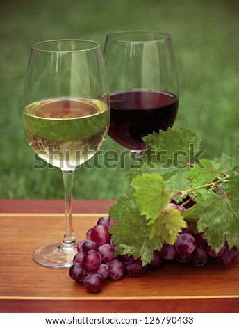 One glass of white wine and red wine and grapes with green leaves