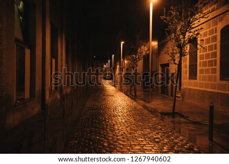 A paving stone in an old European city close-up and an old building in the background at night after a rain