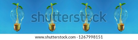 Top of poster or webbanner with lightbulbs with growing plant.