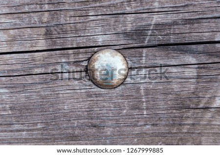 One chrome round head from a screw in a wooden board