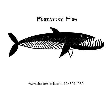 Barracuda fish for your design