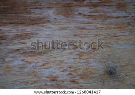 old flaked wood wallpaper with nail