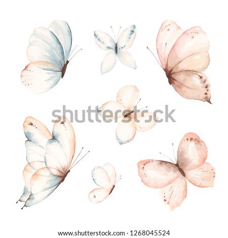 Collection of flying gentle butterflies. Vector illustration in vintage watercolor style. Template for your design.