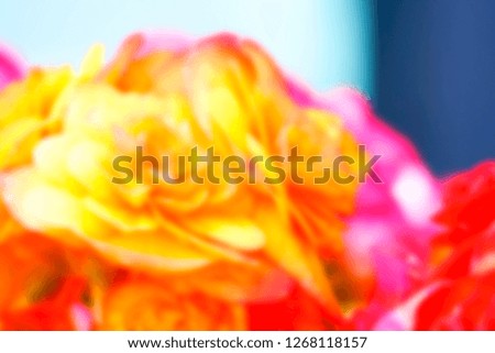 Blurry coloured  flower abstract background.