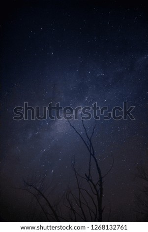 View of the night sky. The milk way in vertical direction. Some branches of trees.