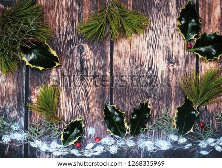 background showing holly ,wood and Christmas lights shot for copy space over head image ideal for text over lay for sales or poster 