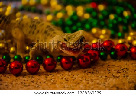
Close-up of a leopard gecko shedding on New Year's Eve. We start the New Year in a new skin.