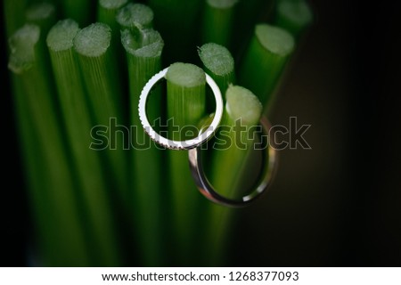 wedding rings green background