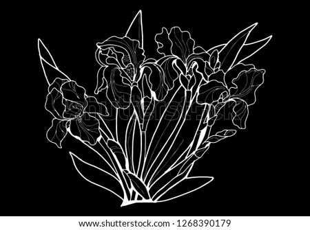 Irises white line on a black background. Line Art.