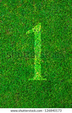 White line number on green grass (1 2 3 4 5 6 7 8 9 0)