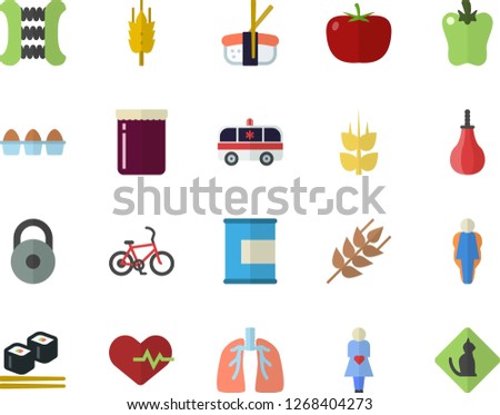 Color flat icon set tomato flat vector, ear, egg, bell pepper, fish rolls, sashimi, jam, ambulance, gestation, lungs, weight, heartbeat, carpal expander, sports pear, proteins, size, bicycle fector