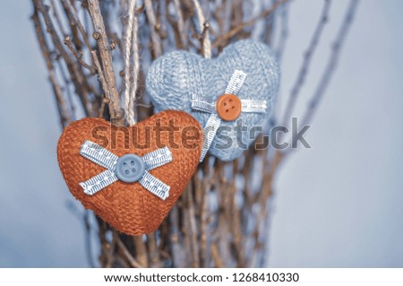 Two knitted hearts hanging on a branch. Symbol of love and Valentine's day celebration. Toned foto.