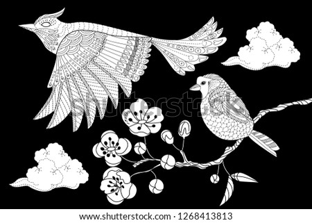 Coloring Pages. Colouring pictures with birds. Antistress freehand sketch drawing with doodle and zentangle elements.