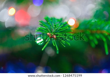 Christmas tree branches with Christmas lights, texture, blurry background