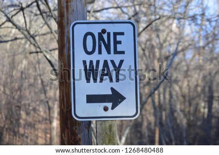 sign of one way with arrow. isolated with branches of trees.