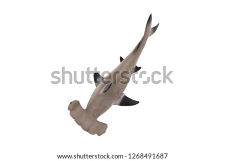 Plastic hammerhead shark toy isolated on white background. Top view
