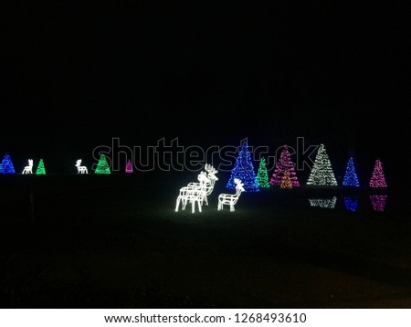 Christmas light decoration in the park