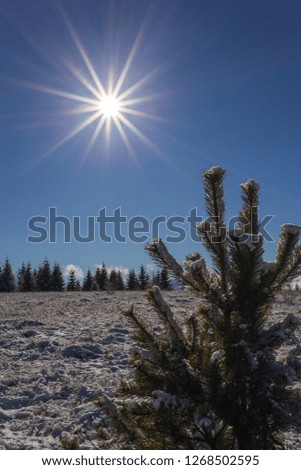 Beautiful winter landscape photo, bright sunlight