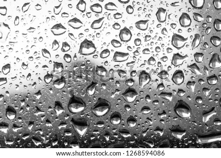 Water drops on glass window white background after the rain in the autumn fall