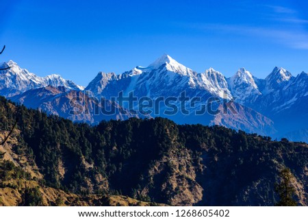 View of Snow cladded Panchchuli peaks falls in great Himalayan mountain range  & alpine grass meadows enroute to Khalia Top trekk trail at small hamlet Munsiyari, Kumaon region, Uttarakhand, India. Royalty-Free Stock Photo #1268605402