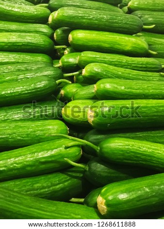 Fresh green cucumbers background, sold in the market