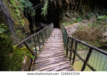 Photo Picture of Deep Forest Pathway Wooden Footbridge