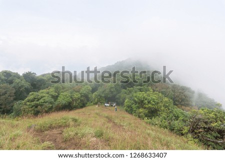 group of tourist walking through top of the mountain at mon jong doi, Thailand