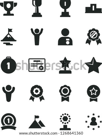 Solid Black Vector Icon Set - star vector, medal, winner, pedestal, prize, award, cup, gold, reward, man hands up, with, motivation, mountain flag, first place, ribbon, certificate, stars around