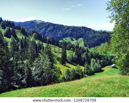 Subalpine forests in the Ostschweiz region - Canton of Appenzell Ausserrhoden, Switzerland