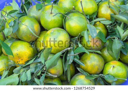 Background with sweet oranges fruit grown in tropics, picture use for design, advertising, marketing, business and more